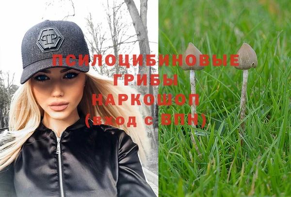 Альфа ПВП Алзамай
