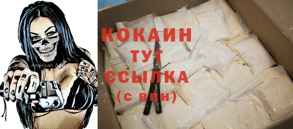 соль ск Алексин