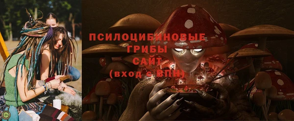 Альфа ПВП Алзамай